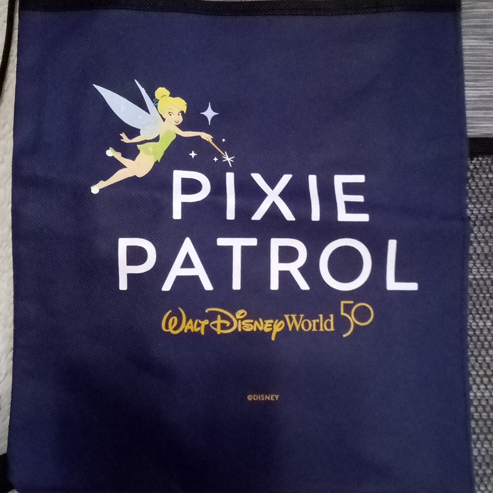 Tinkerbell backpack - Picture 3 of 8
